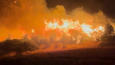 Bursa’nın Karacabey ilçesinde çıkan orman yangını şiddetli rüzgarın etkisiyle kısa