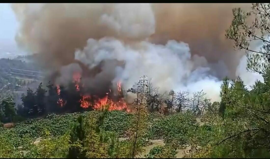 Bursa’daki orman yangını büyüyor Bursa’nın merkez Osmangazi ilçesi Gündoğdu ilçesinde başlayan orman yangını büyüyor.