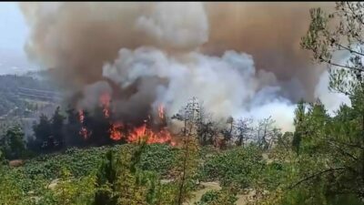 Bursa’nın merkez Osmangazi ilçesi Gündoğdu ilçesinde başlayan orman yangını büyüyor.
