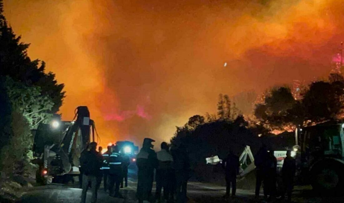 Bursa’daki orman yangını kontrol altına alındı Bursa’nın Karacabey ilçesinde çıkarak rüzgarın etkisiyle geniş alana yayılan orman