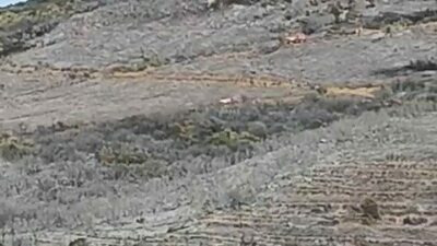 Bursa’nın Karacabey ilçesinde dün akşam saatlerinde çıkan orman yangını, 16