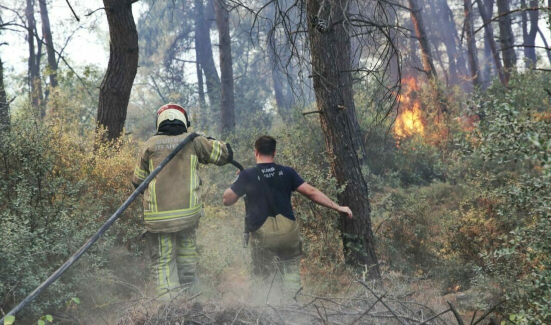 Büyükşehir’den Gündoğdu yangını seferberliği Bursa Büyükşehir Belediyesi ekipleri, Bursa’da televizyon vericilerinin bulunduğu Gündoğdu Mahallesi’nde