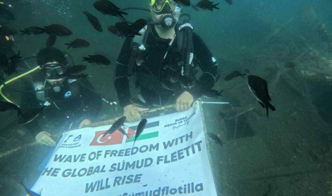 Bursa’da şehit ve gazi yakını bir grup dalış gerçekleştirdikleri deniz