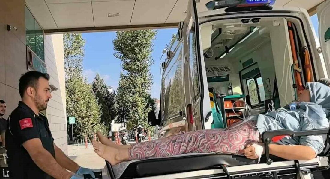 Bursa’nın İnegöl ilçesinde bulunan küçükbaş hayvan çiftliğinde yangın çıktı. 1