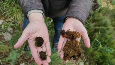 Bursa Uludağ Üniversitesi’nden Prof. Dr. Aydın Türkeç’in proje koordinatörlüğünü üstlendiği