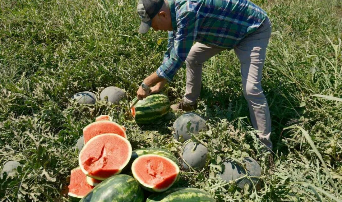 Haftalardır “geldi geliyor satışa çıktı” diye gündemi meşgul eden Iphone