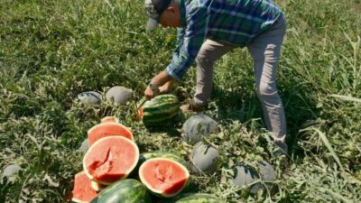 Haftalardır “geldi geliyor satışa çıktı” diye gündemi meşgul eden Iphone