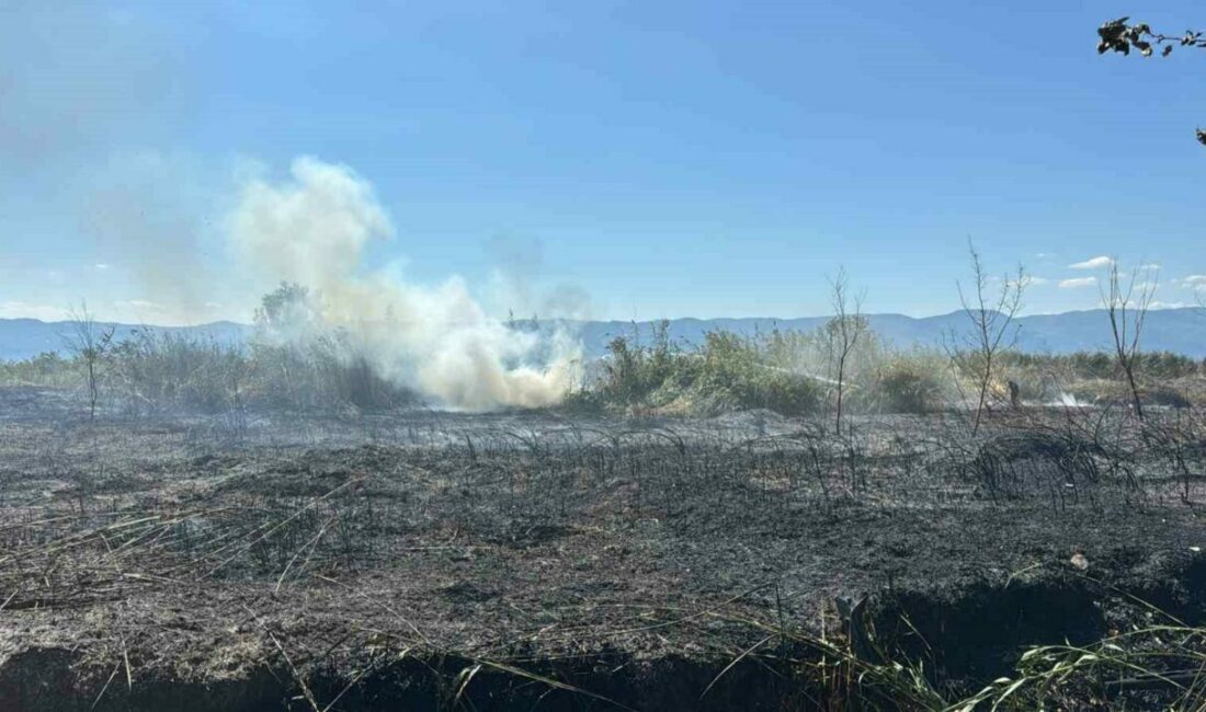 Bursa’nın İznik ilçesine bağlı Boyalıca Mahallesi’nde, Kuru Dere Ağzı mevkisinde