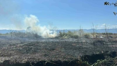 Bursa’nın İznik ilçesine bağlı Boyalıca Mahallesi’nde, Kuru Dere Ağzı mevkisinde
