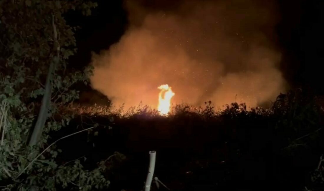 İznik’te korkutan yangın Bursa’nın İznik ilçesine bağlı Boyalıca mahallesinde sazlık yangını meydana geldi.