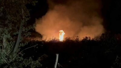 Bursa’nın İznik ilçesine bağlı Boyalıca mahallesinde sazlık yangını meydana geldi.