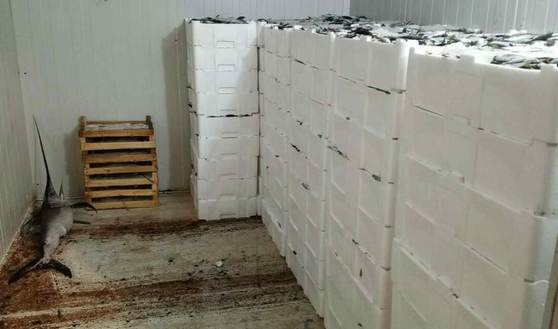 Bursa balık halinde denetim yapan Bursa Büyükşehir Belediyesi Tarım A.Ş.