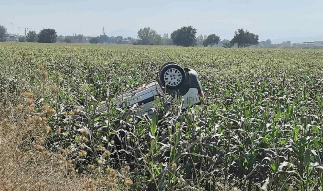 Kontrolden çıkan araç takla atıp tarlaya uçtu: 1 yaralı Bursa’nın İnegöl ilçesinde virajda sürücüsünün kontrolünden çıkan hafif ticari araç