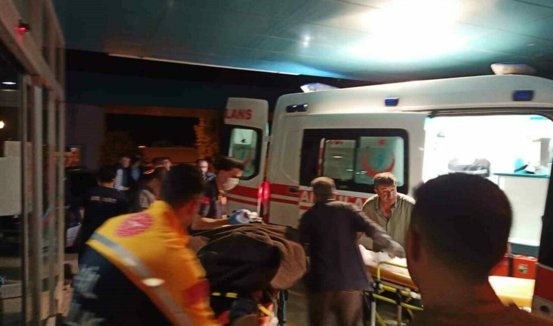 Bursa’nın Keles ilçesinde sürüden ayrılan koyununu kurtarmak için tırmandığı yamacın