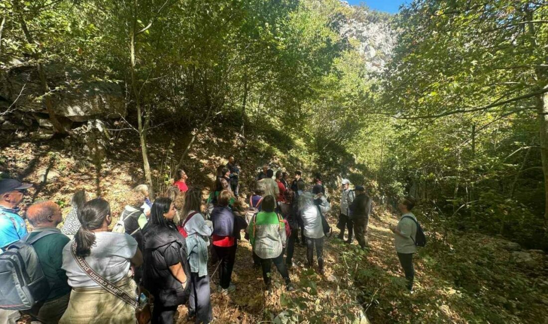 Nilüfer Belediyesi ve Alzheimer Derneği Bursa Şubesi iş birliğiyle düzenlenen,