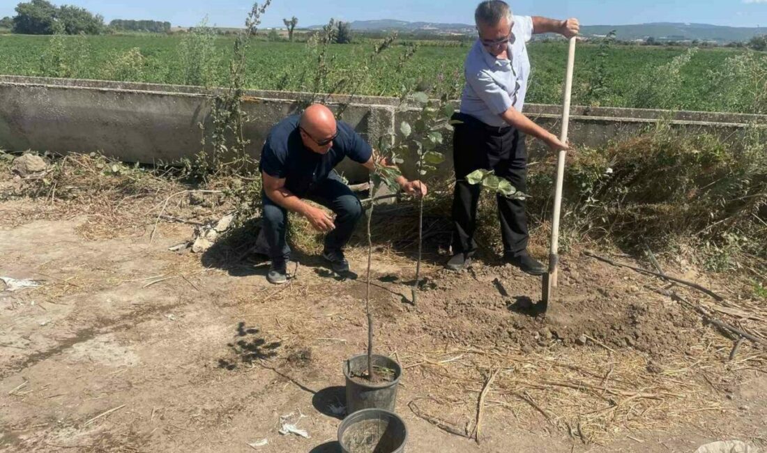 Orman yangınlarında kaybedilen her ağaç yerine 10 fidan Bursa’nın Mustafakemalpaşa ilçesinin kırsal Yamanlı Mahallesi’nde oturan ve halen öğretmenlik