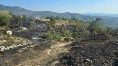 Bursa’nın Orhaneli ilçesinde piknik yapan bir ailenin mangalıdan sıçradığı iddia