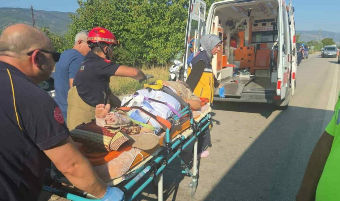 Bursa’nın Orhangazi ilçesinde Orhangazi-İznik karayolu Yeniköy altı mevkiinde meydana gelen