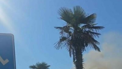 Bursa’nın Mudanya ilçesinde bulunan bir restoranda bugün öğle saatlerinde çıkan