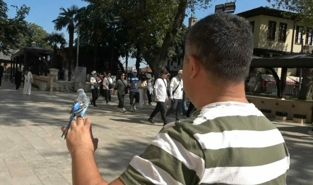 Bursa’da sahibinin omzunda ve elinde kapalı çarşıyı dolaşan muhabbet kuşu,