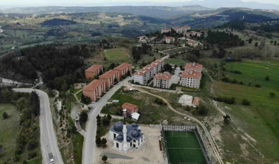 Bursa’da bir site bahçesinde yavru ayılar görülmesi üzerine yönetim, site