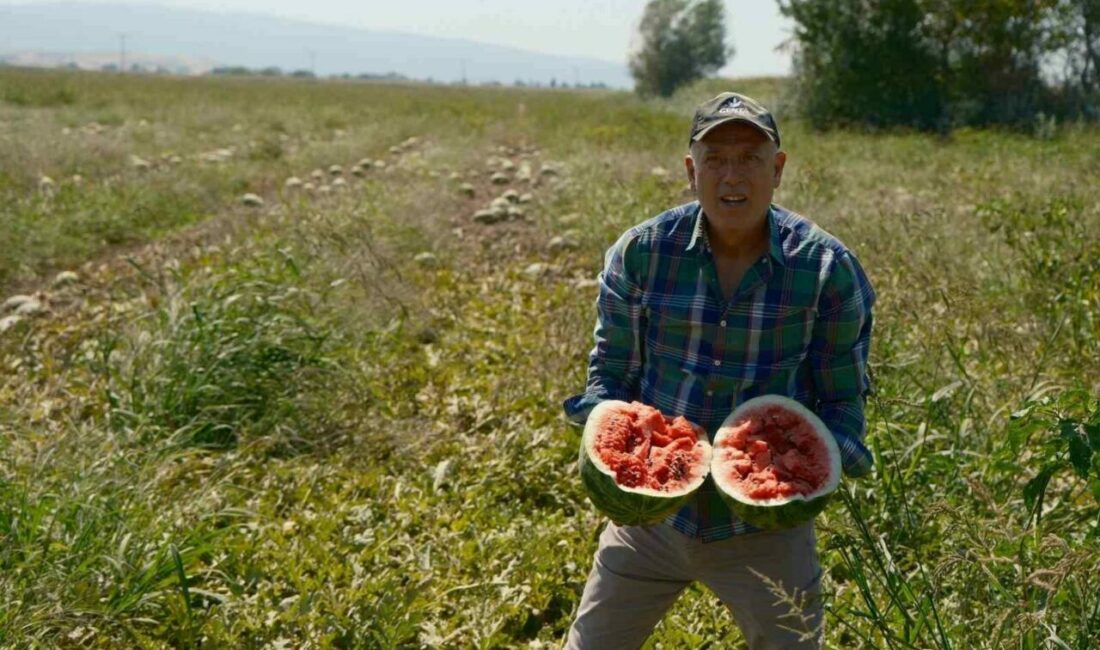 Konyalı bir firma ile şubat ayında imzaladığı sözleşmeye istinaden 500