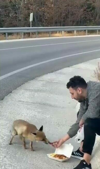 Bursa Uludağ yolunda doğayla iç içe yaşanan unutulmaz bir an,