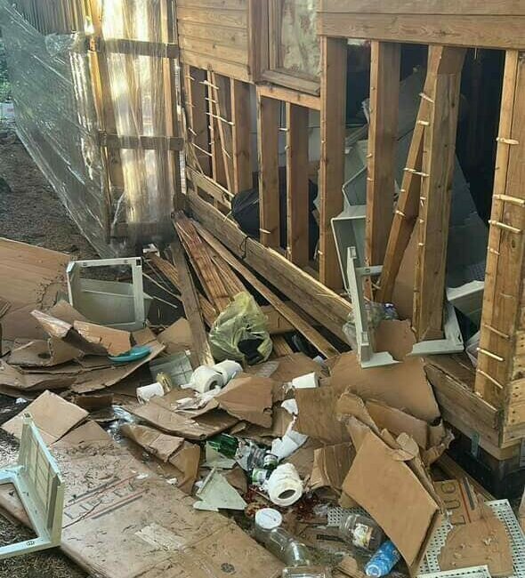 Bursa’nın gözde turizm merkezi Uludağ’da gece saatlerinde yiyecek arayışına çıkan