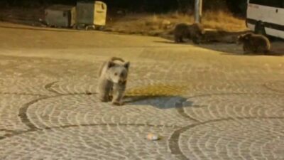 Bursa’nın gözde doğa alanlarından Uludağ’da sıra dışı bir gece yaşandı.