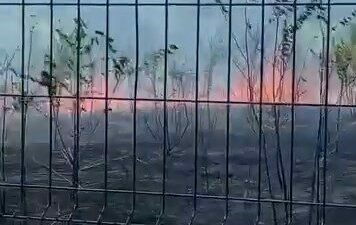 Bursa’daki Hamidiye Tarım Mesleki ve Teknik Anadolu Lisesi bahçesindeki yangın,