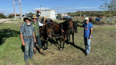 Atlarıyla Almanya’dan ’Peace Mission Jerusalem’ parolasıyla yola çıkan aktivistler, Bursa’da