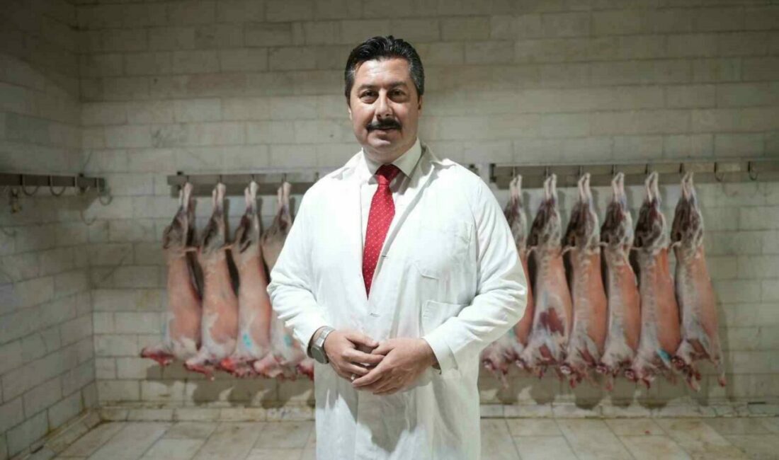 Bu ilçede yetiştirilen etler Türkiye’de beğeniyle tüketiliyor Türkiye’de tarımdan sonra hayvancılığın en yangın olduğu Bursa’nın Yenişehir ilçesinde