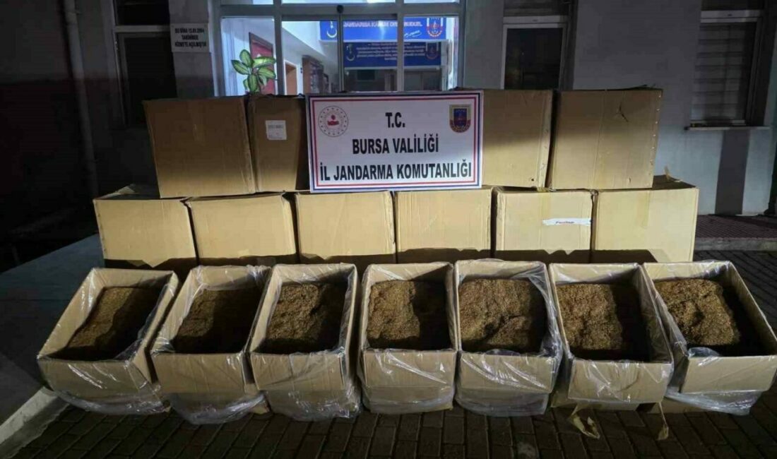 Bursa’da 750 kilogram kaçak tütün ele geçirildi Bursa’da jandarma ekipleri tarafından düzenlenen operasyonda 750 kilogram kaçak tütün
