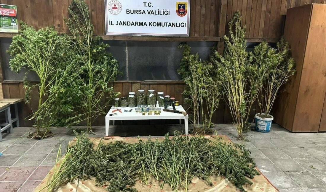 Bursa’nın İnegöl ilçesinde jandarma ekipleri tarafından eve yapılan operasyonda 9