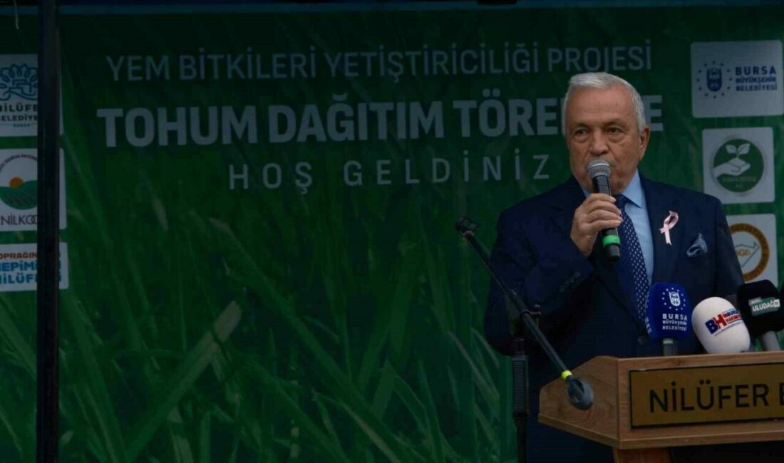 Bursa’nın Nilüfer ilçesinde hayvancılığı desteklemek amacıyla 300 çiftçiye İtalyan çimi