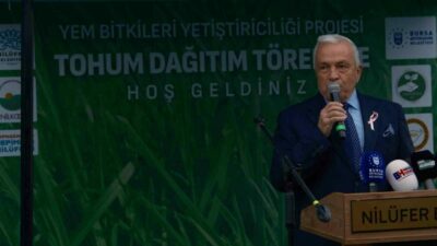 Bursa’nın Nilüfer ilçesinde hayvancılığı desteklemek amacıyla 300 çiftçiye İtalyan çimi