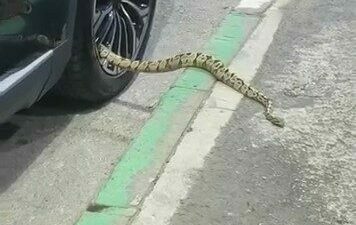 Bursa’nın Osmangazi ilçesinde park halindeki bir otomobilin jantından yaklaşık 1