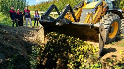 Bursa İl Tarım ve Orman Müdürlüğü denetim ekipleri tarafından rutin