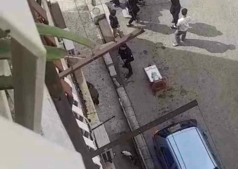 Bursa’da taciz iddiası ortalığı karıştırdı: Aile dükkanı bastı Bursa’da iddiaya göre, petshopta çalışan bir kişi, alışveriş için gelen