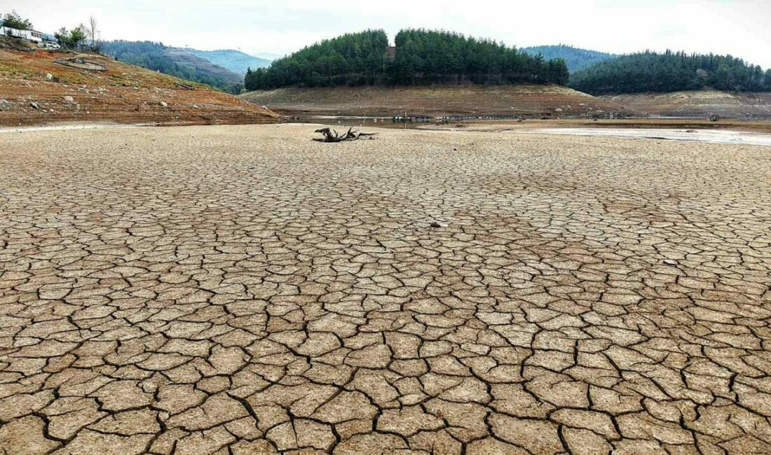Bursa’da Nilüfer Barajı’ndan sonra Doğancı Barajı’nda da doluluk oranı yüzde