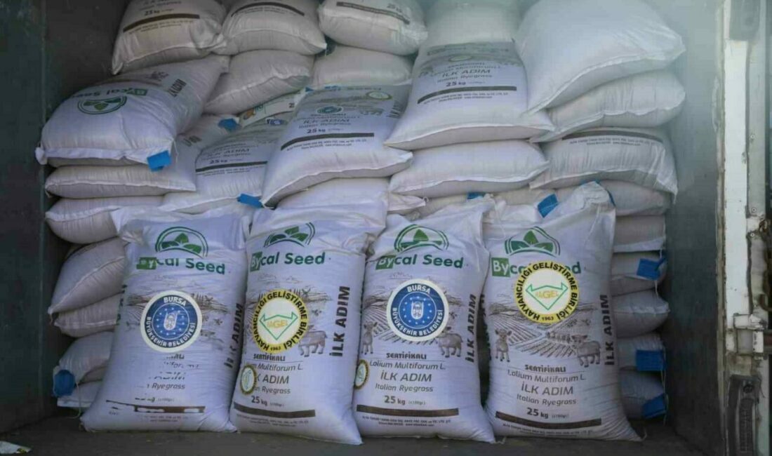 Kırsal kalkınmayı güçlendirmek ve üretimi teşvik etmek amacıyla her alanda