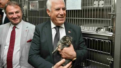 Sokaklarda yaşam mücadelesi veren can dostlar, Bursa Büyükşehir Belediyesi’nin şefkat