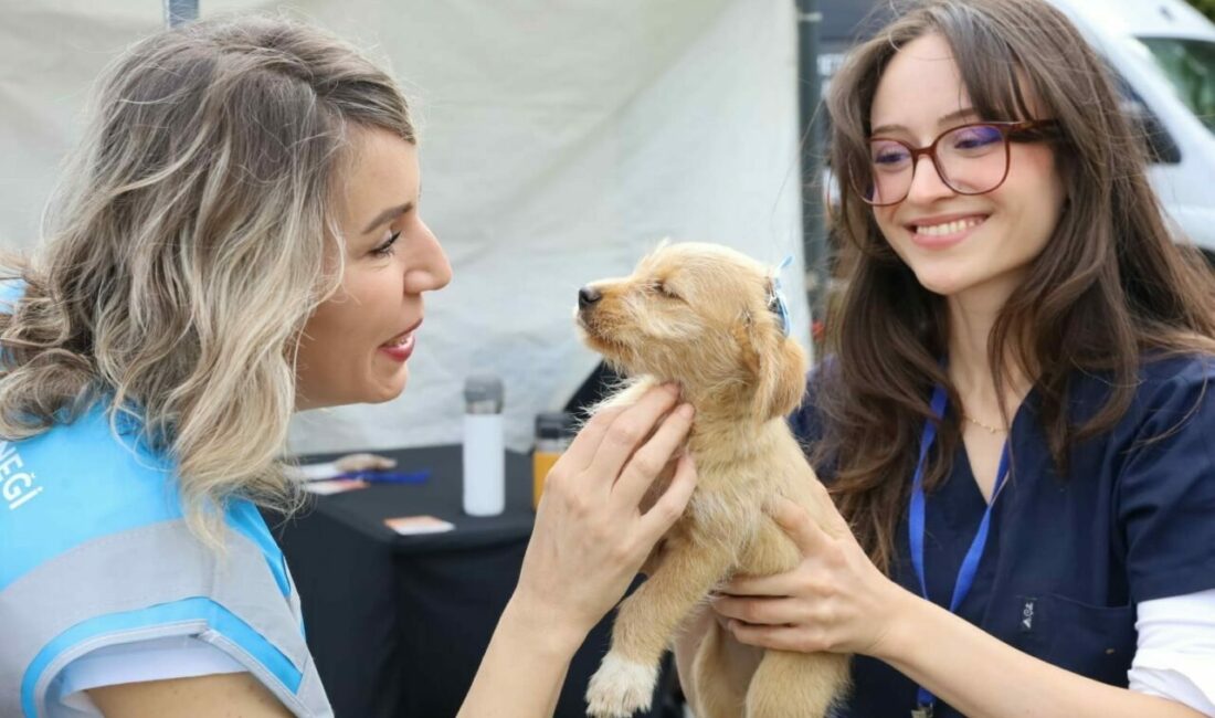 Bursa Büyükşehir Belediyesi’nin “Satın alma, yuvam ol” sloganıyla düzenlediği Yuvalandırma