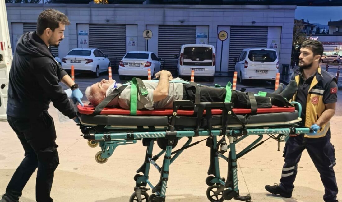 Bursa’nın İnegöl ilçesinde ceviz ağacından düşen adam ağır yaralandı. Olay,