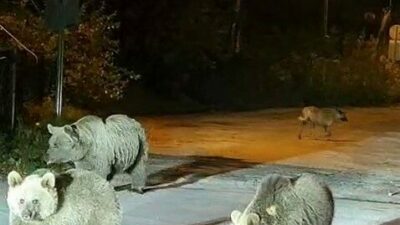 Uludağ Sarıalan mevkiinde hafta sonu etkinliği düzenleyen bir grup dağcı,