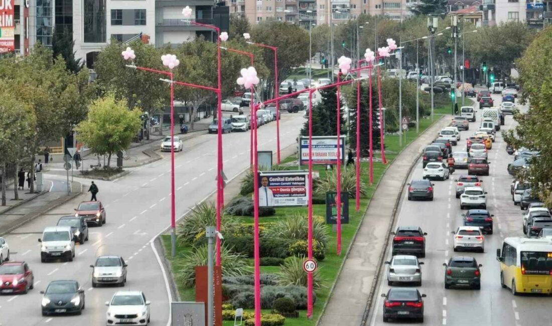 UEDAŞ, 2017 yılından bu yana Pembe Lambalar Projesi ile erken