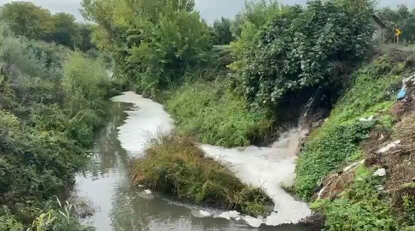 Gemlik Körfezi’nde kirlilik endişeye yolaçıyor Orhangazi’de, Marzim Sanayi Bölgesi yakınlarından geçen Karsak Deresi’ne karışan kirli