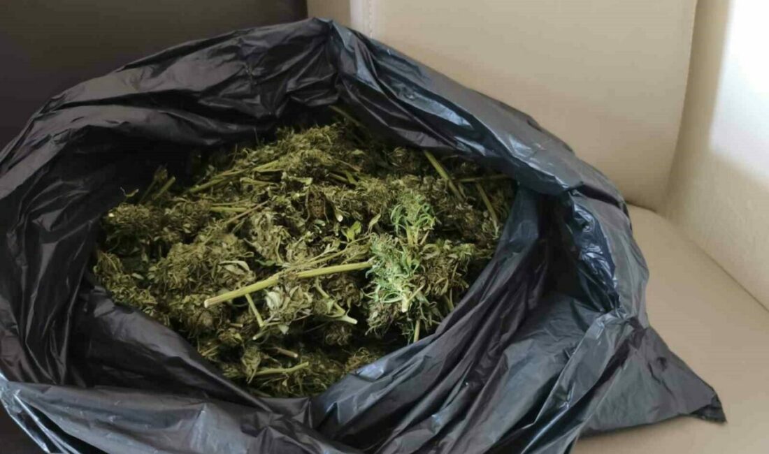 Bursa’nın İnegöl ilçesinde Jandarma komutanlığı ekiplerince bir eve düzenlenen operasyonda