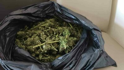 Bursa’nın İnegöl ilçesinde Jandarma komutanlığı ekiplerince bir eve düzenlenen operasyonda