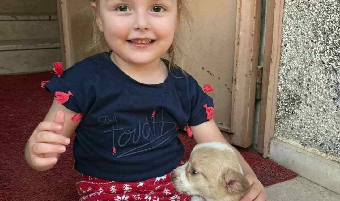 Bursa’nın İnegöl ilçesinde geçtiğimiz ay kreş havuzunda boğularak hayatını kaybeden